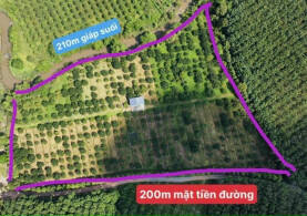 Bán Gấp, Giá Đầu Tư, 218m mặt tiền đường, Xã Xuân Bắc-H Xuân Lộc-Đồng Nai