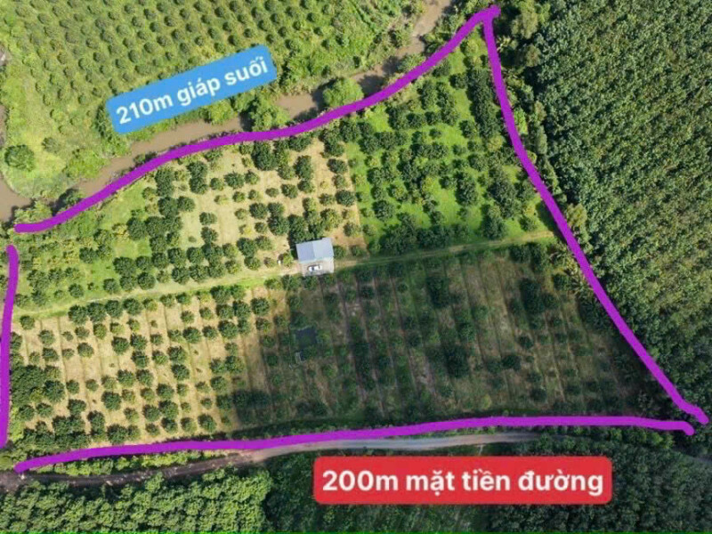 Bán Gấp, Giá Đầu Tư, 218m mặt tiền đường, Xã Xuân Bắc-H Xuân Lộc-Đồng Nai